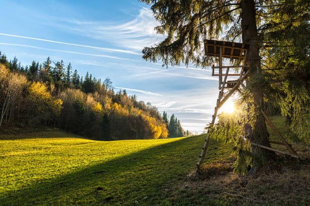 Hunter house in Bavaria